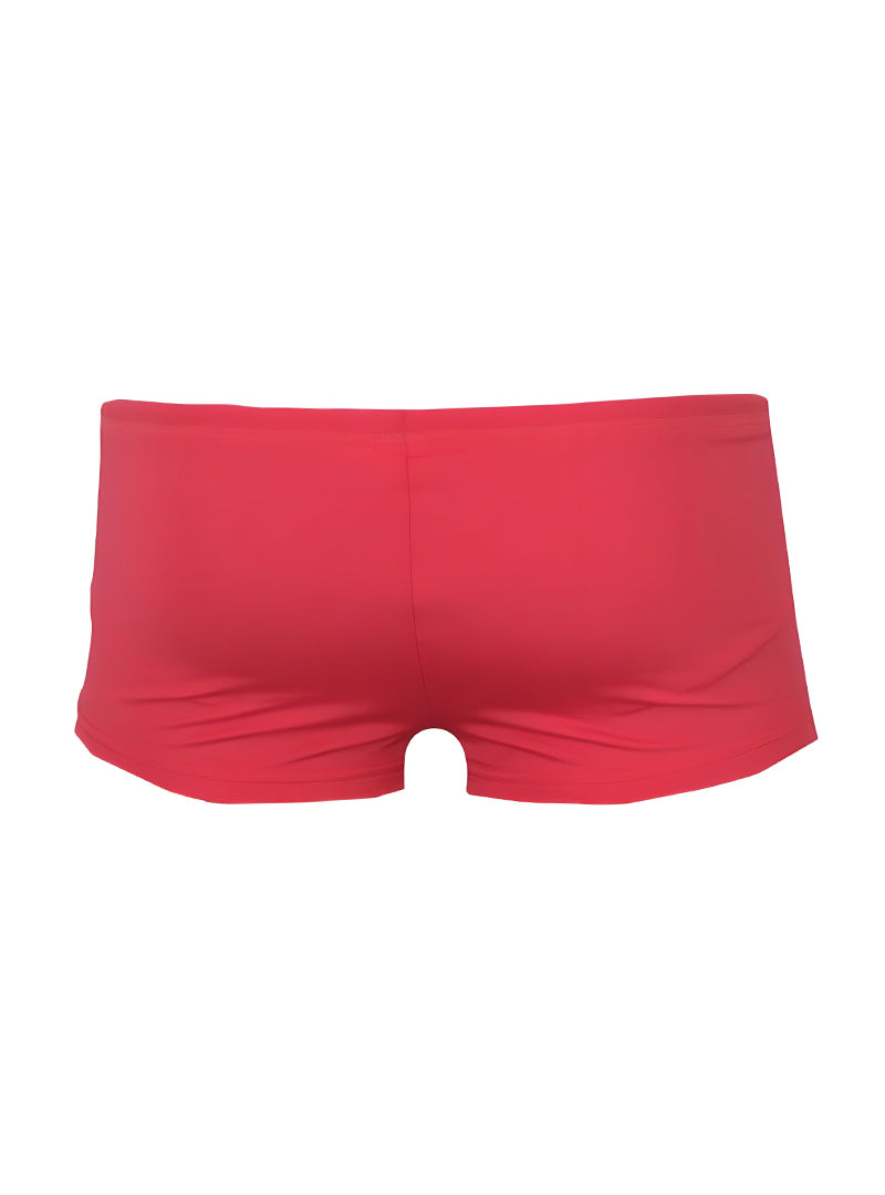 PRIDE 11 BRIEF